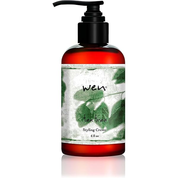 Amazon.com: WEN by Chaz Dean Wen Sweet Almond Mint